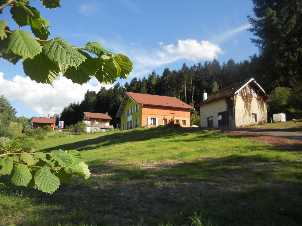 Gites Du Saut Des Cuves Xonrupt-Longemer Exterior photo